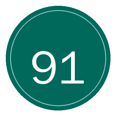 91